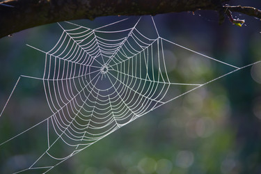 Similar image 11494374