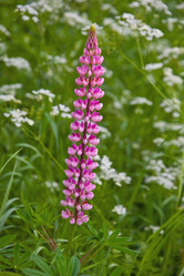 Similar image 11494378