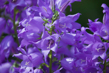 Similar image 11494379