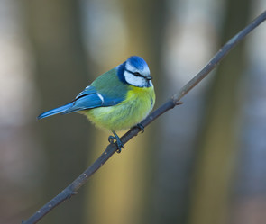 Similar image 11494383