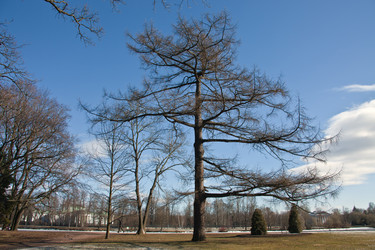 Similar image 11494127