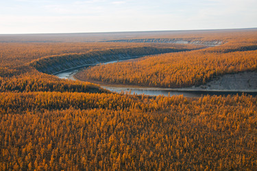 Similar image 11494187