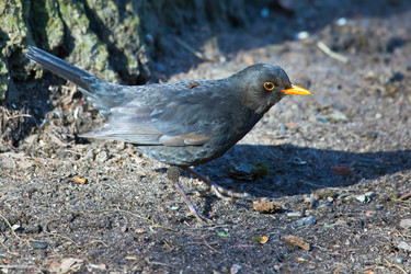 Similar image 11494193