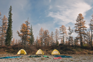 Similar image 11494354