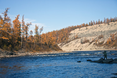 Similar image 11494362