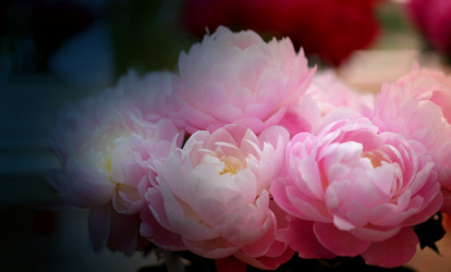 Similar image 11496854