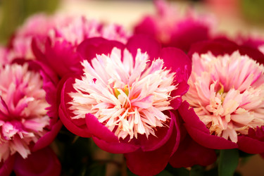 Similar image 11496836