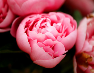 Similar image 11496837