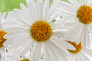 Similar image 11491570