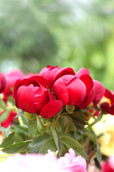 Similar image 11496811