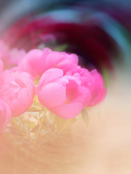 Similar image 11496855