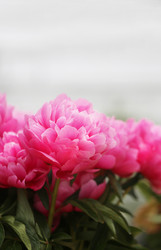 Similar image 11496839