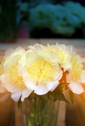 Similar image 11496840