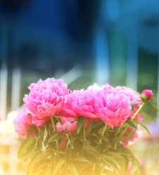 Similar image 11496856