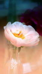 Similar image 11496812