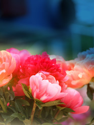 Similar image 11496841