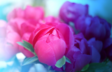 Similar image 11496842