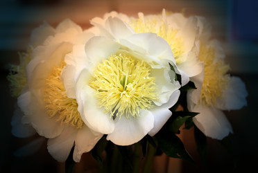 Similar image 11496813