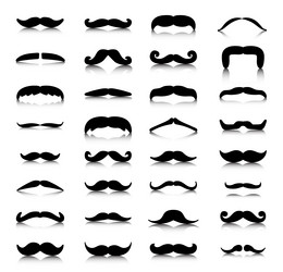 Similar image 11493159