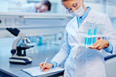 Similar image 11495831