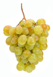 Similar image 11493271