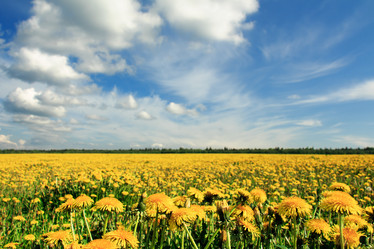 Similar image 11493282