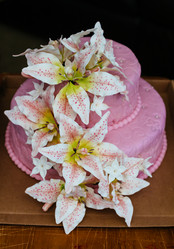 Similar image 11495923