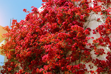 Similar image 11494838