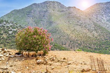 Similar image 11494840