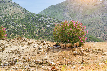 Similar image 11494841