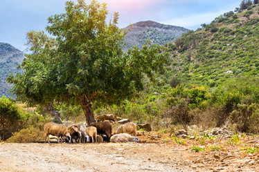 Similar image 11494843