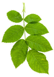 Similar image 11494139