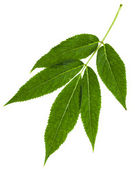 Similar image 11494558