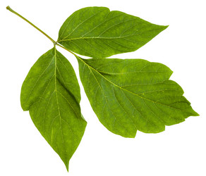 Similar image 11494566