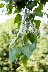 Similar image 11494573