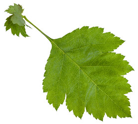 Similar image 11494581