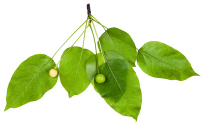 Similar image 11494604