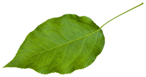 Similar image 11494623