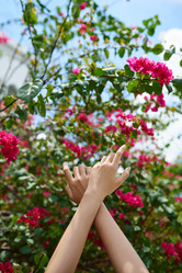 Similar image 11496168