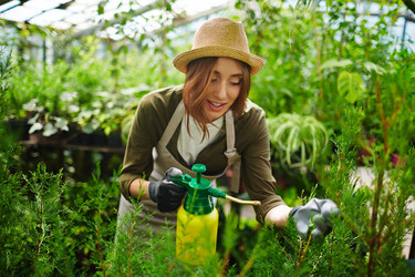 Similar image 11495840