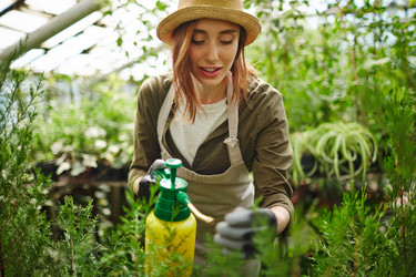 Similar image 11495844