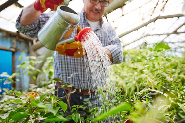 Similar image 11495847