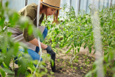 Similar image 11495848