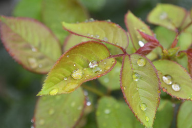 Similar image 11495625