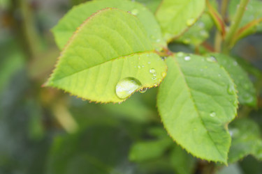 Similar image 11495626