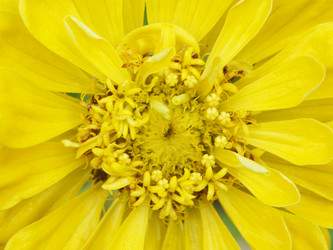 Similar image 11495627