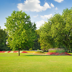 Similar image 11496957