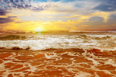 Similar image 11496958