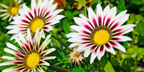 Similar image 11496963