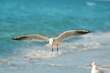 Similar image 11496965